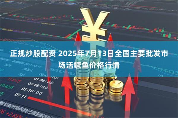 正规炒股配资 2025年7月13日全国主要批发市场活鳜鱼价格行情